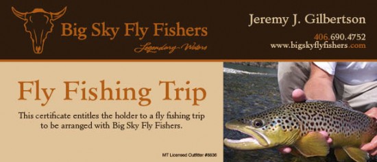 i am fish flying fish level 1 i am fish flying fish level 1